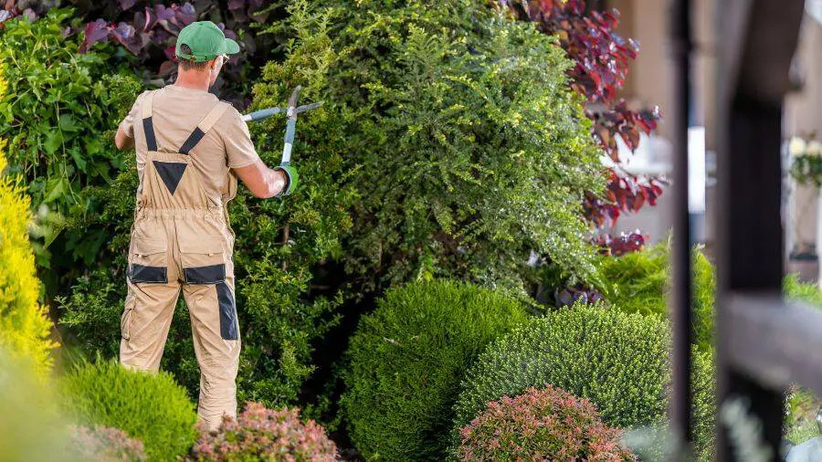 Sylvain au travail dans un jardin à Mazamet
